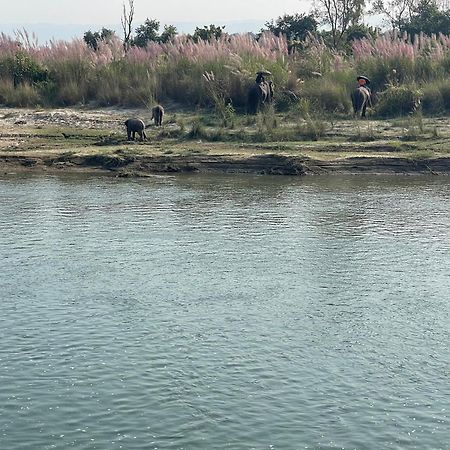 Chitwan Riverside Resort Саураха Екстериор снимка