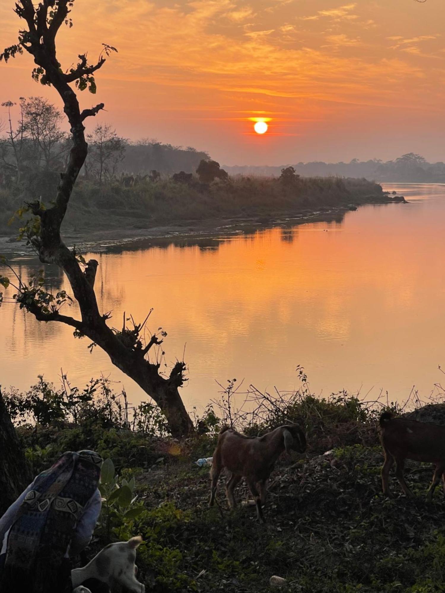 Chitwan Riverside Resort Саураха Екстериор снимка